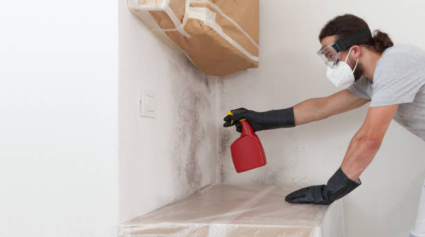 Attic Mold Remediation treatment on roof deck in California